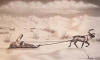  Walluk original pen and ink Eskimo with reindeer pulling sled